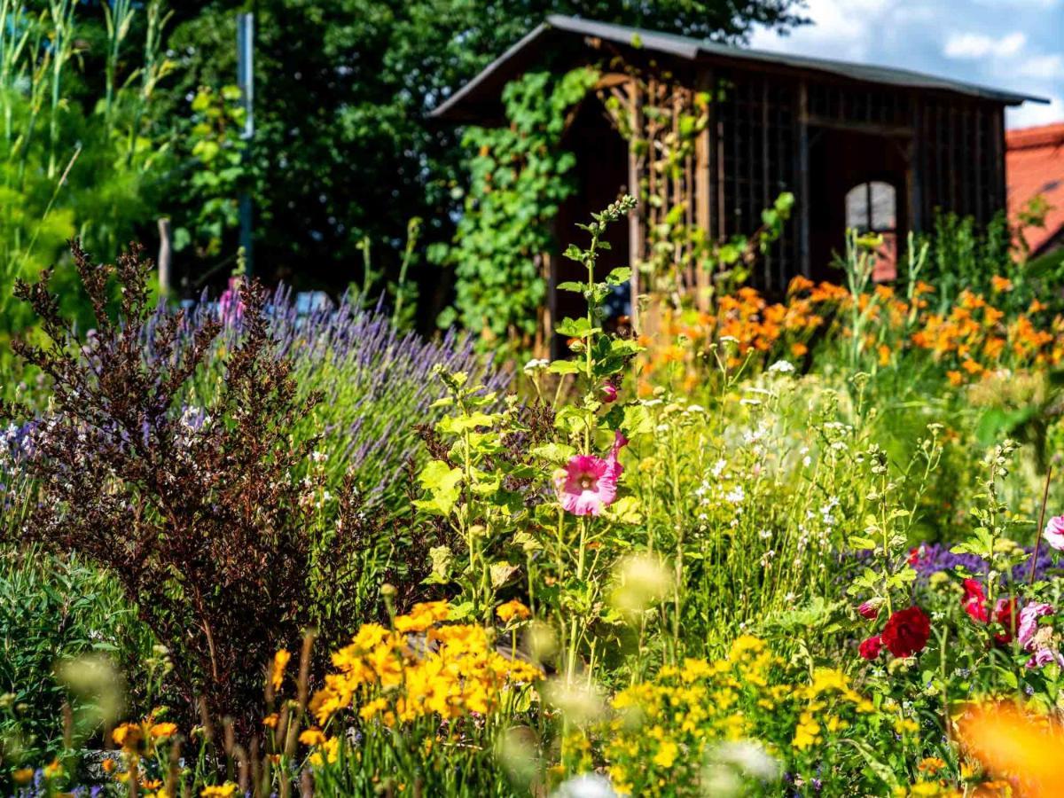 Landhotel Gut Wildberg Mit Badeteich ไมเซน ภายนอก รูปภาพ