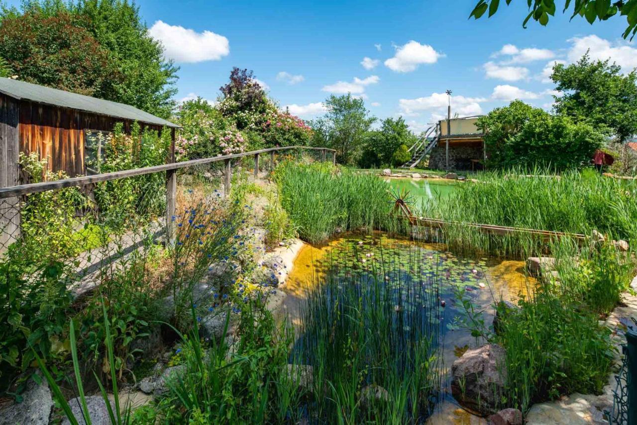 Landhotel Gut Wildberg ไมเซน ภายนอก รูปภาพ