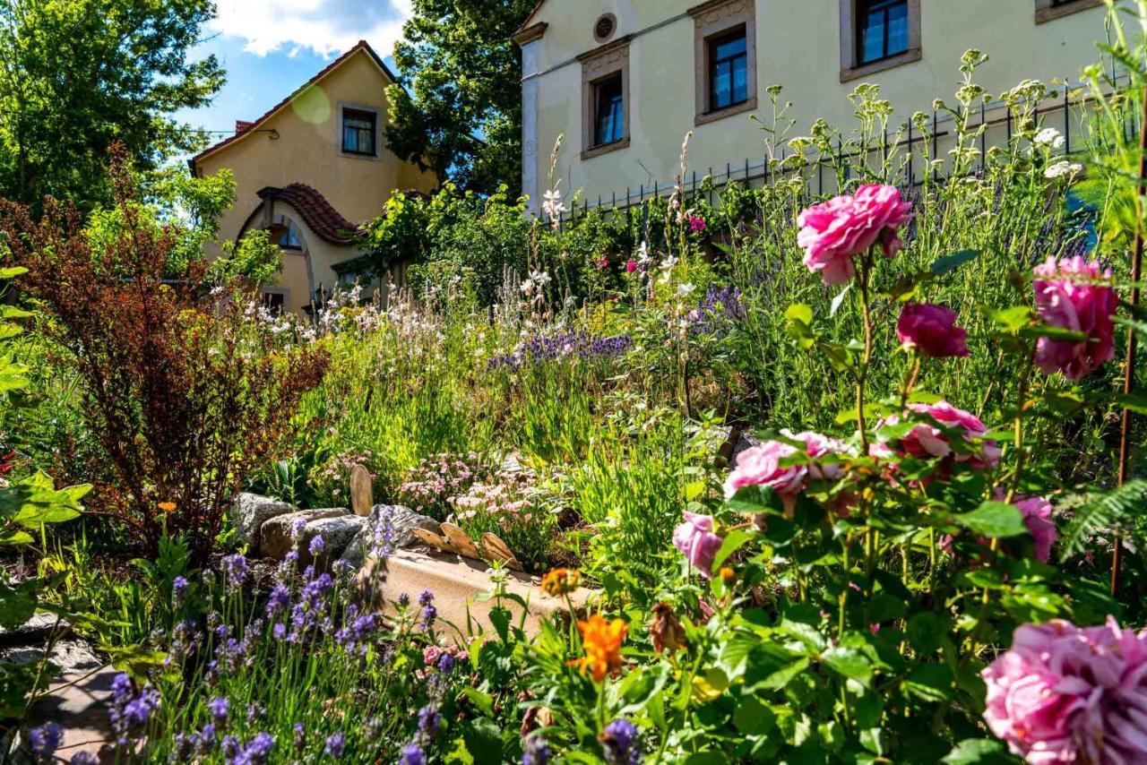 Landhotel Gut Wildberg Mit Badeteich ไมเซน ภายนอก รูปภาพ