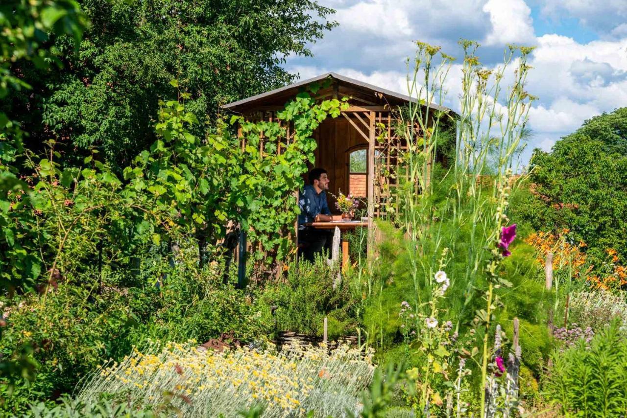 Landhotel Gut Wildberg Mit Badeteich ไมเซน ภายนอก รูปภาพ