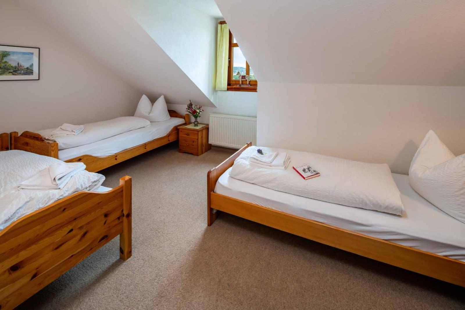 Landhotel Gut Wildberg Mit Badeteich ไมเซน ห้อง รูปภาพ