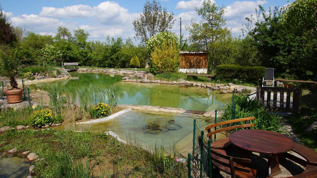 Landhotel Gut Wildberg Mit Badeteich ไมเซน ภายนอก รูปภาพ
