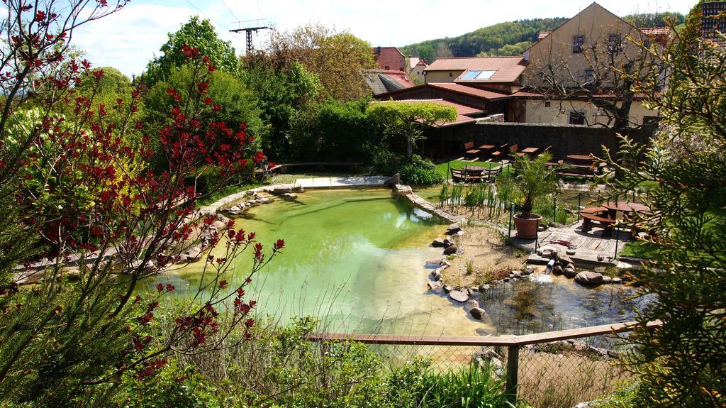 Landhotel Gut Wildberg Mit Badeteich ไมเซน ภายนอก รูปภาพ